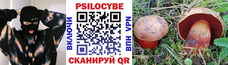 Псилоцибиновые грибы GOLDEN TEACHER  Судак 